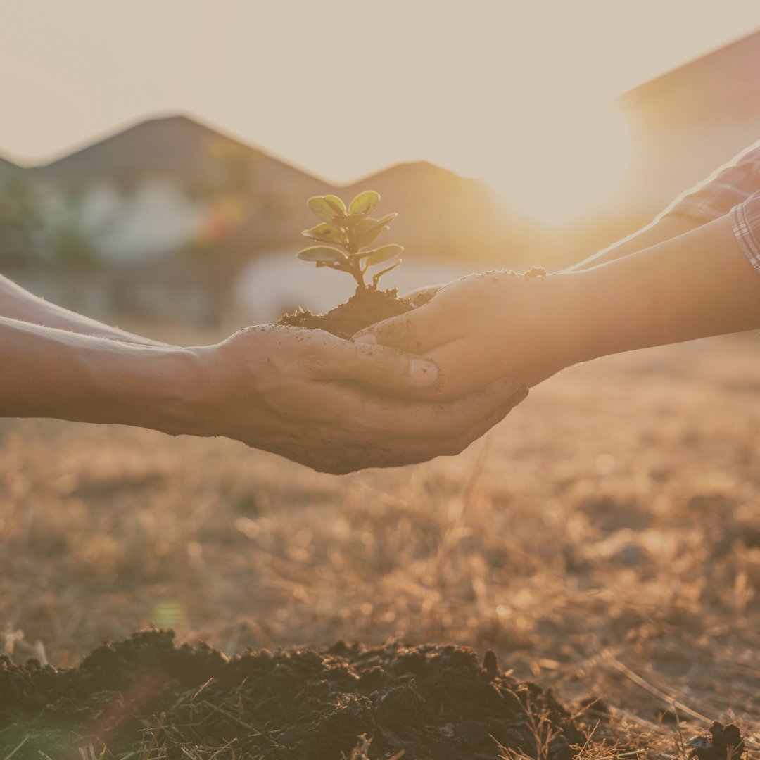ISO 14001 - CORSO AUDITOR E LEAD AUDITOR SISTEMI DI GESTIONE AMBIENTE